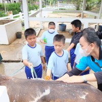 Kegiatan Outdoor Study Kelas IV Ke Asia Farm Pekanbaru 2024